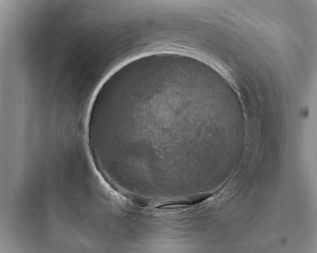 X0000097911536200803211453