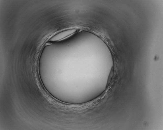 X0000097910001200803281413