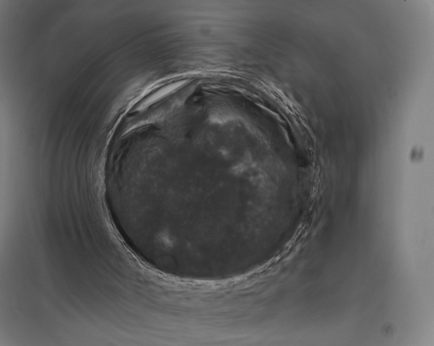 X0000097910002200803281413