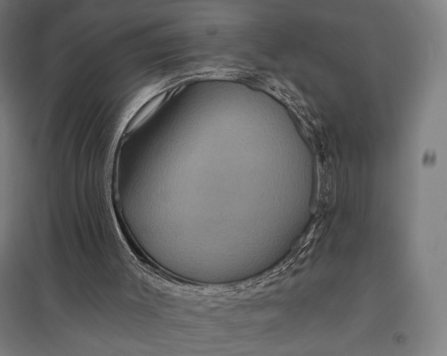 X0000097910003200803281413