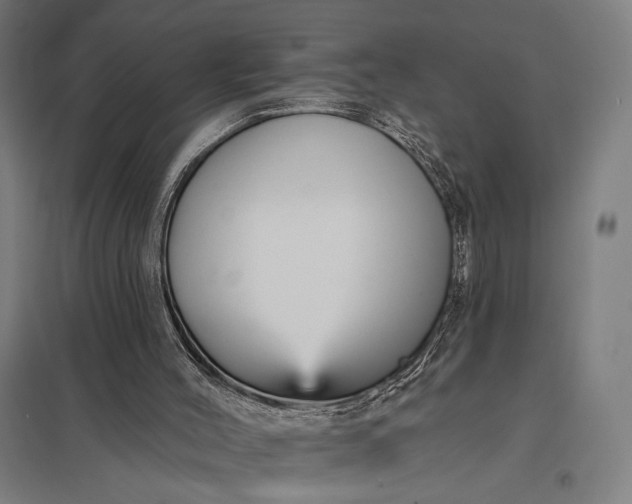 X0000097910004200803281413