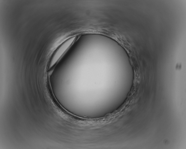 X0000097910005200803281413