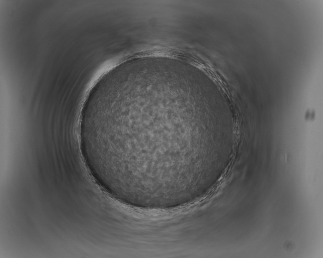 X0000097910006200803281413