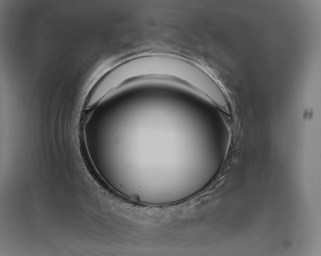 X0000097910007200803281413