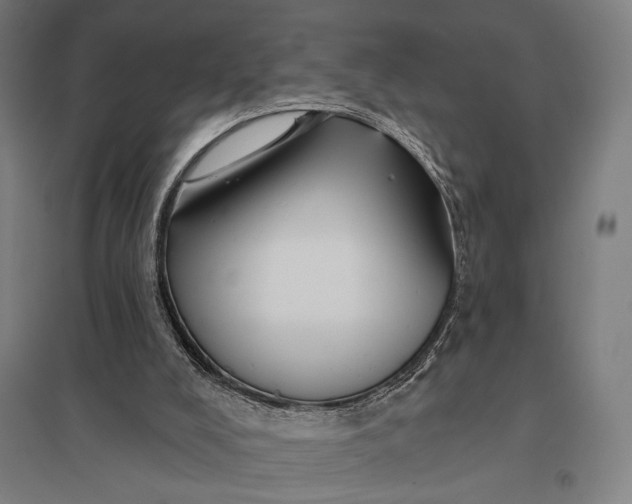 X0000097910008200803281413