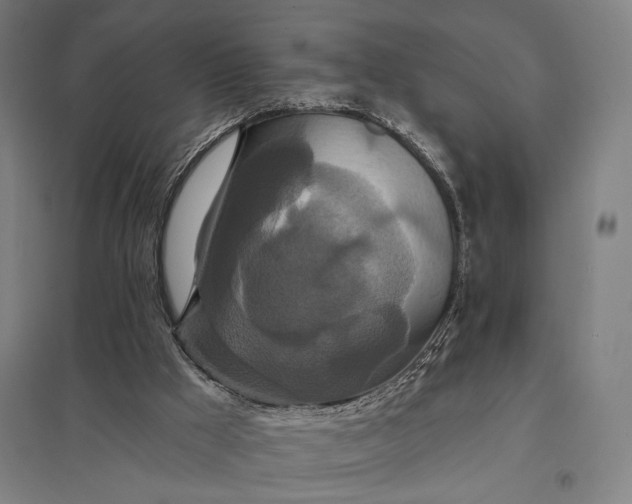 X0000097910009200803281413