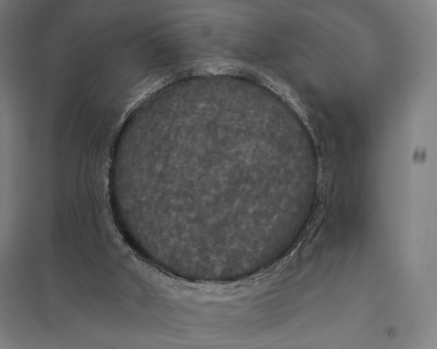 X0000097910010200803281413