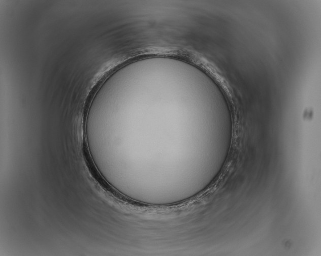 X0000097910011200803281413