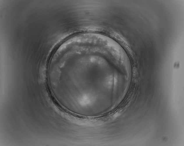 X0000097910012200803281413