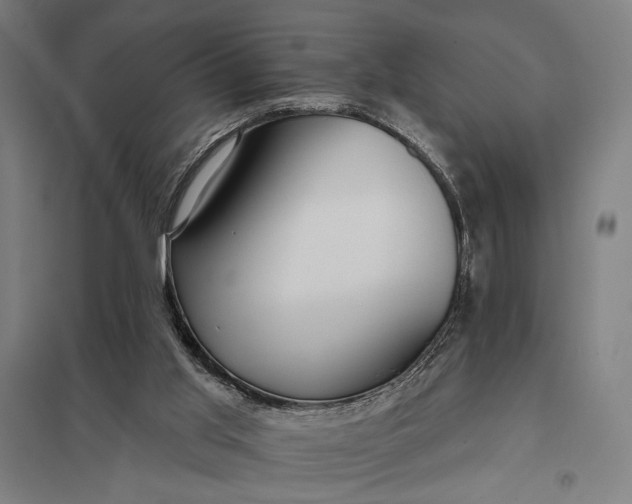 X0000097910013200803281413