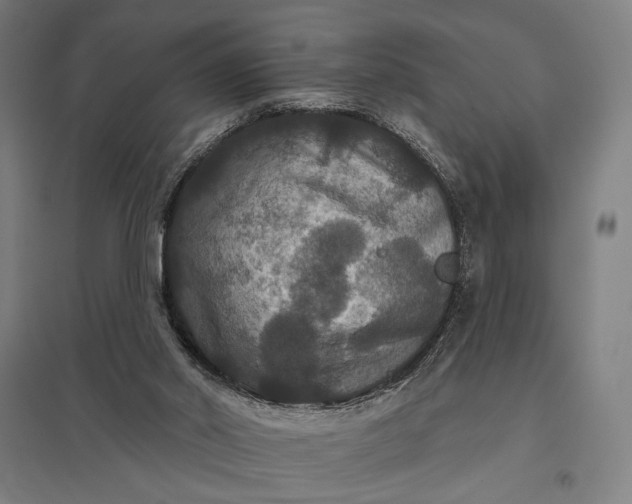 X0000097910014200803281413