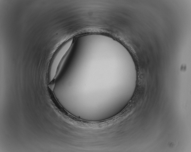 X0000097910015200803281413