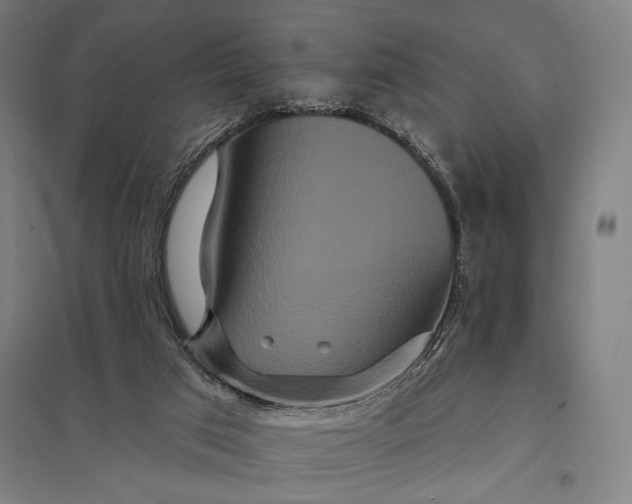 X0000097910017200803281413