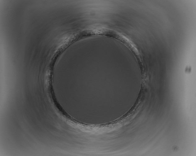 X0000097910018200803281413