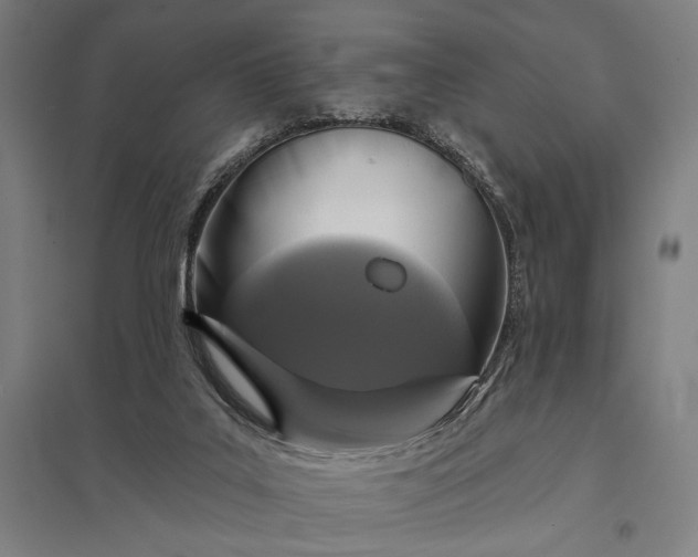 X0000097910019200803281413