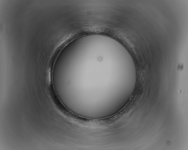 X0000097910020200803281413