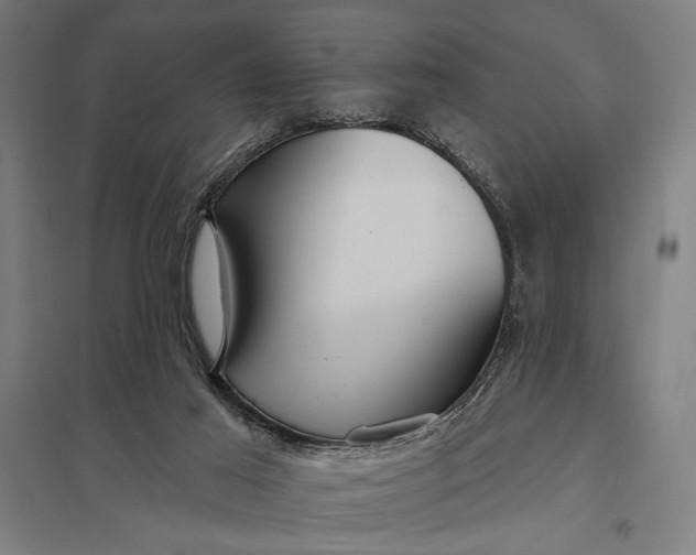 X0000097910021200803281413