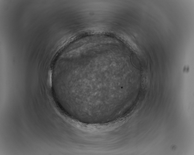 X0000097910022200803281413