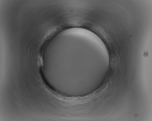 X0000097910023200803281413