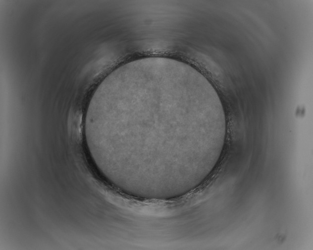 X0000097910024200803281413