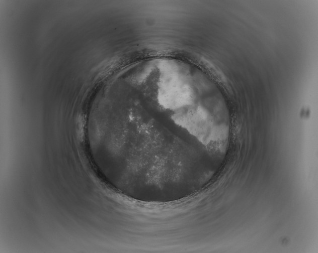 X0000097910026200803281413