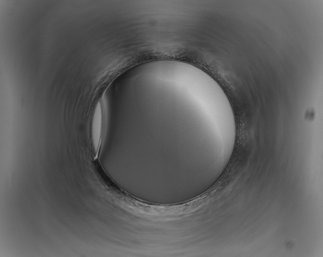 X0000097910027200803281413