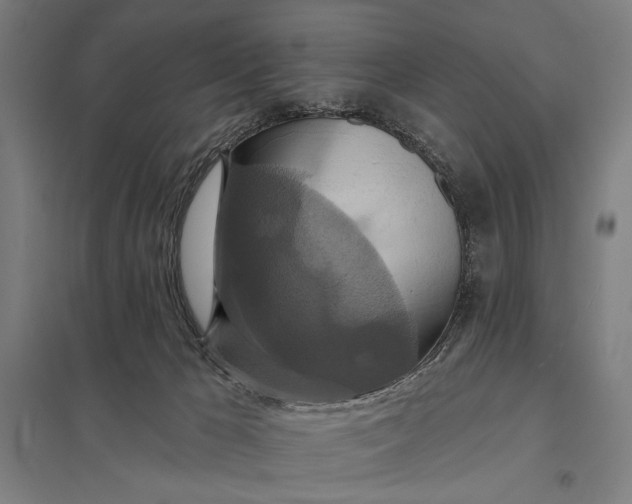 X0000097910029200803281413