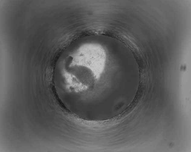 X0000097910030200803281413