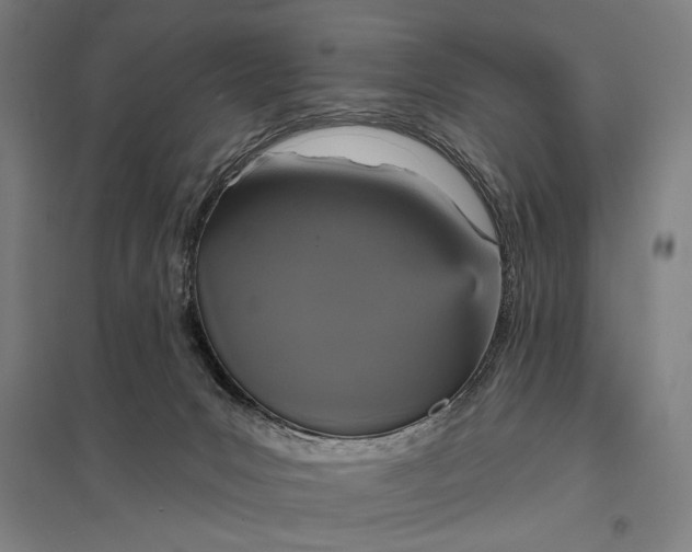 X0000097910031200803281413