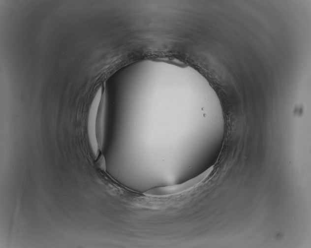 X0000097910033200803281413