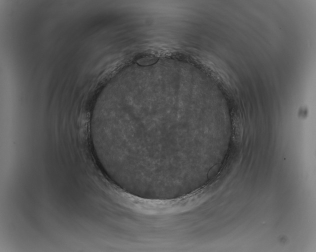 X0000097910034200803281413