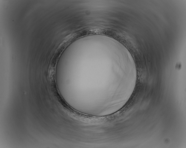 X0000097910036200803281413