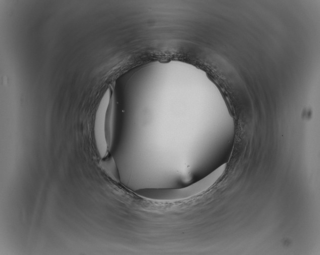 X0000097910037200803281413