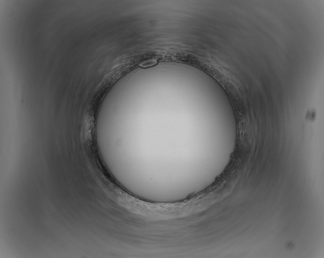 X0000097910038200803281413