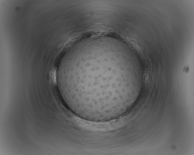 X0000097910042200803281413