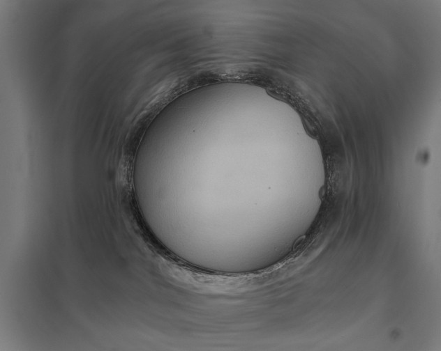 X0000097910044200803281413