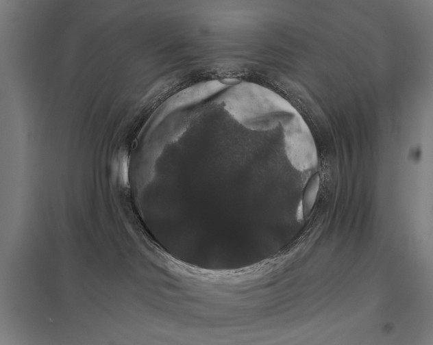 X0000097910046200803281413