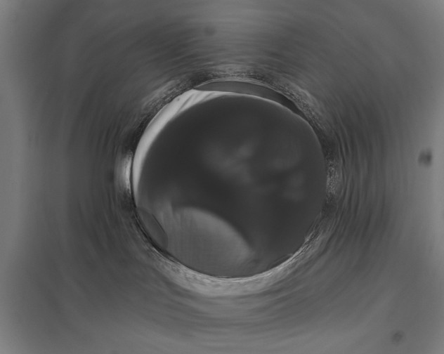 X0000097910047200803281413