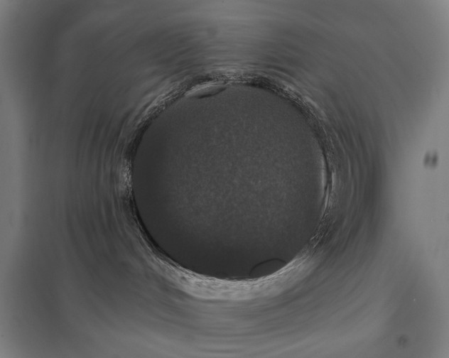 X0000097910048200803281413