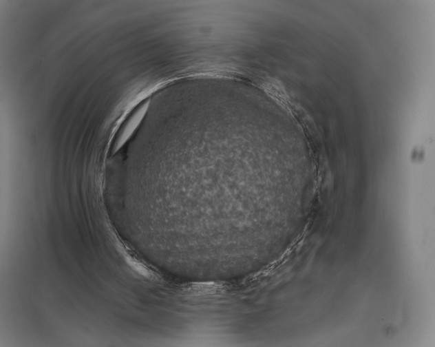 X0000097910050200803281412