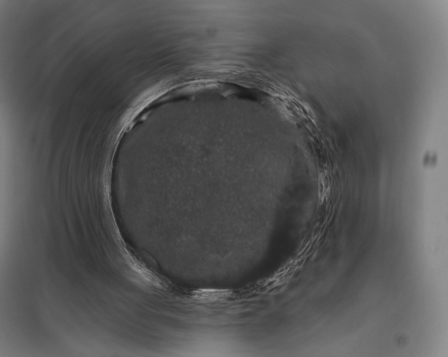 X0000097910051200803281412