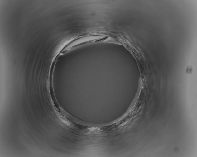 X0000097910052200803281412