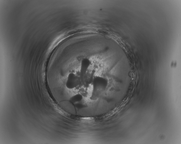 X0000097910053200803281412