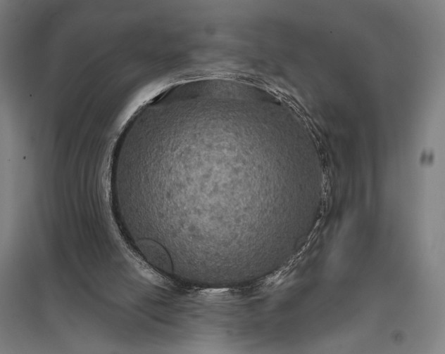 X0000097910054200803281412