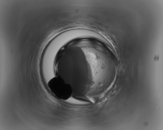 X0000097910055200803281412