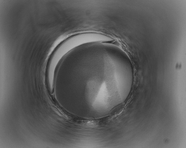 X0000097910056200803281412