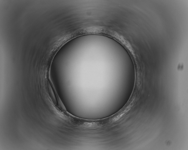 X0000097910057200803281412