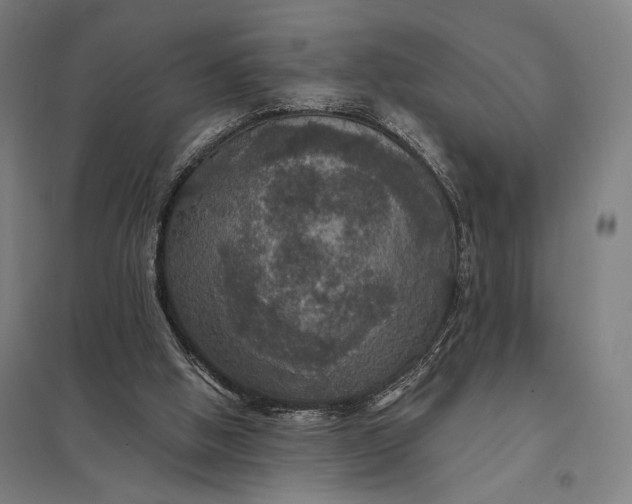 X0000097910058200803281412