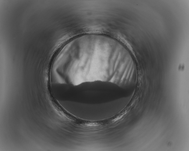 X0000097910059200803281412