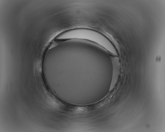 X0000097910060200803281412